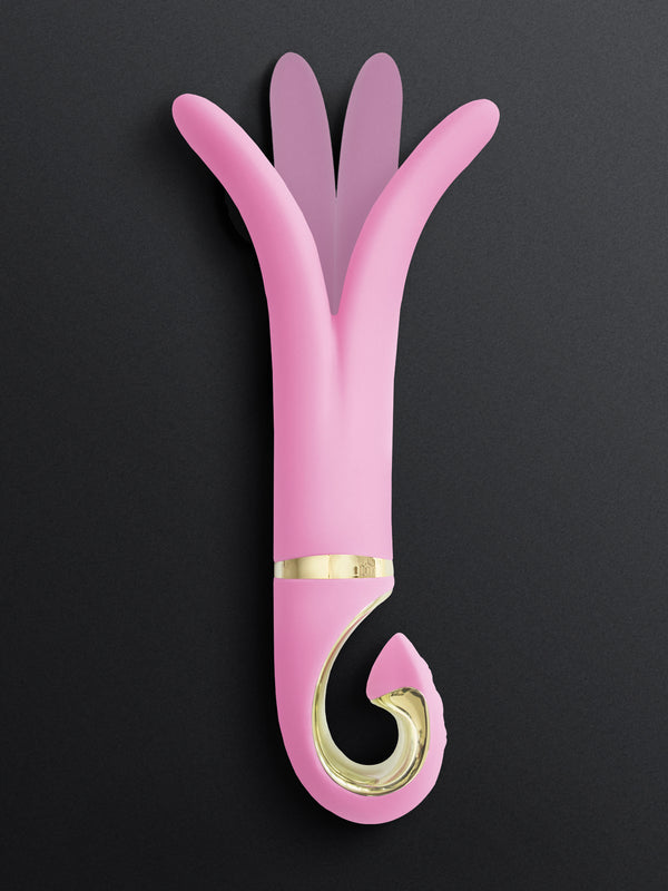Gvibe 3, our iconic multipurpose double vibrator